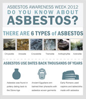 Asbestos Awareness Infographic