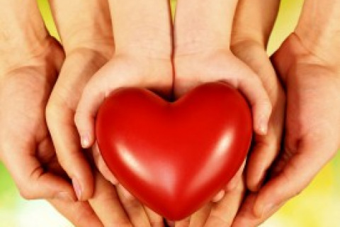 Several Hands Holding a Heart