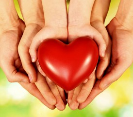 Several Hands Holding a Heart