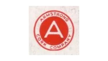 ACS logo