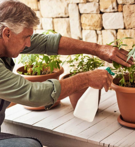 Image of an older man watering plants