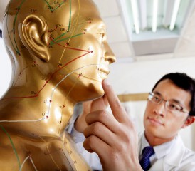 Doctor with acupuncture model