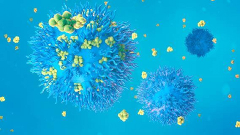 Blue and yellow illustration of anti-cancer enzymes