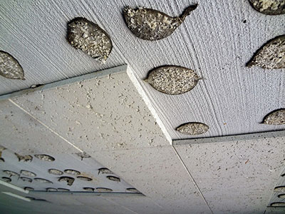 Asbestos ceiling tiles