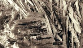 Asbestos fibers