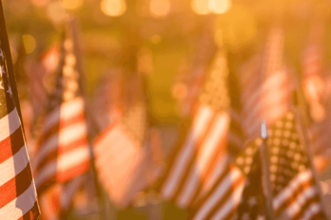 field of American flags during sunset