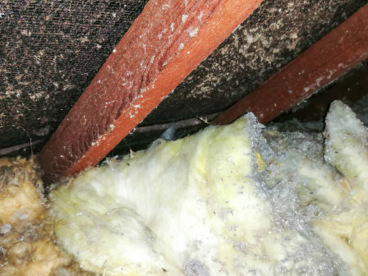 Asbestos wall insulation