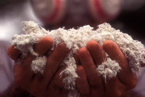 Asbestos worker holding asbesots