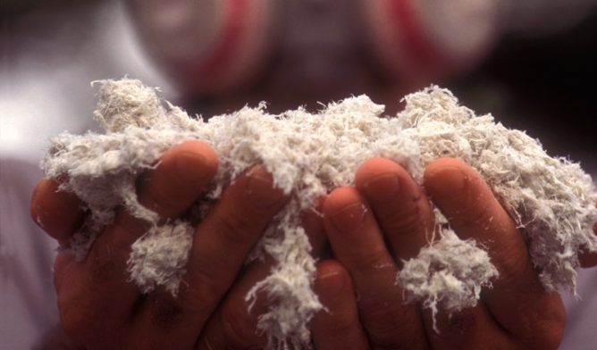 Asbestos worker holding asbesots