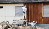 Professionals in protective suits remove asbestos on a wall