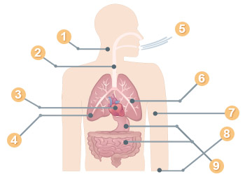 Diagram showing asbestosis symptoms