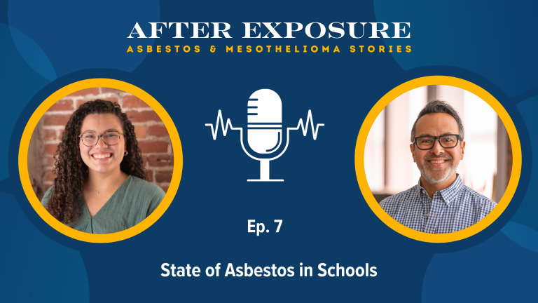 State Of Asbestos in Schools