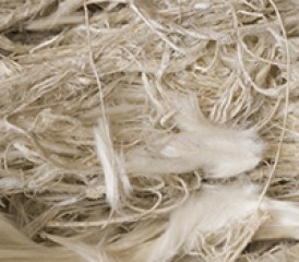Asbestos fibers