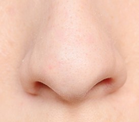 Human nose Human nose