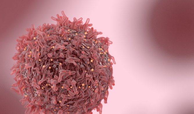 Cancer cell