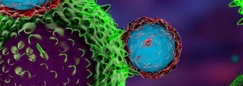 Immunotherapy targeting cancer cells