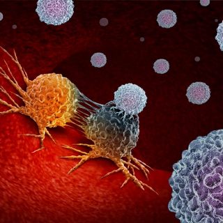 Immunotherapy attacking cancer cells