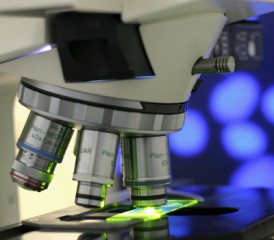 Microscope and slides