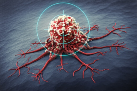 Close-up of cancer cell with target