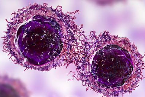 Illustration of cancer cells