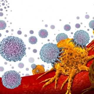 White blood cells orange tumors illustration