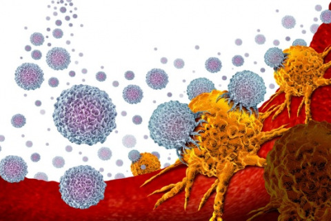 White blood cells orange tumors illustration