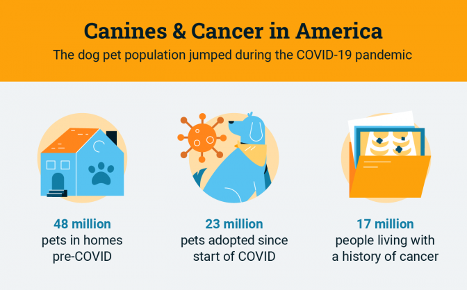Statistics related to the dog pet population since COVID started and the number of people with a history of cancer