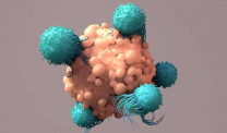 Illustration of T cells attacking cancer cell