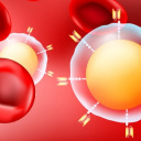 CAR T cells and red blood cell graphic