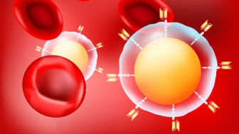 CAR T cells and red blood cell graphic