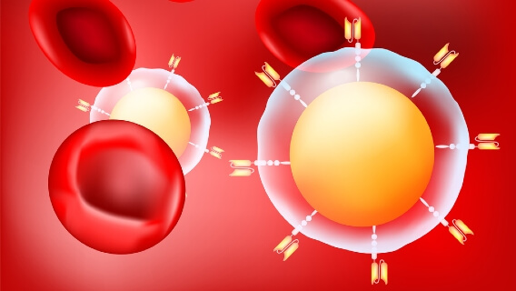 CAR T cells and red blood cell graphic