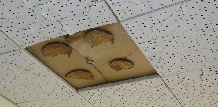 Ceiling tile made with asbestos in a school