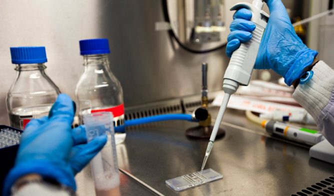 Cell samples in lab