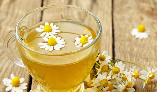 Chamomile tea with flowers