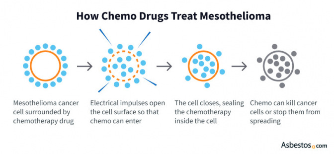 How chemotherapy drugs work against mesothelioma cancer