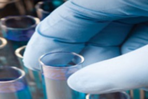 Chemosensitivity Testing