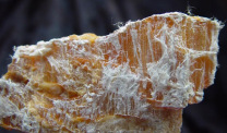 chrysotile asbestos
