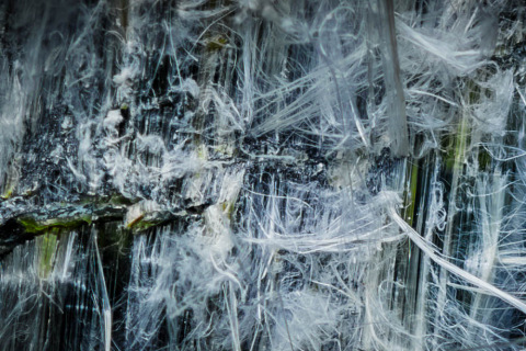 chrysotile asbestos fibers