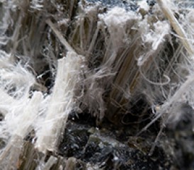 Chrysotile asbestos fibers