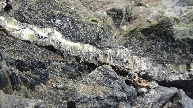 Asbestos fibers exposed in a serpentine rock