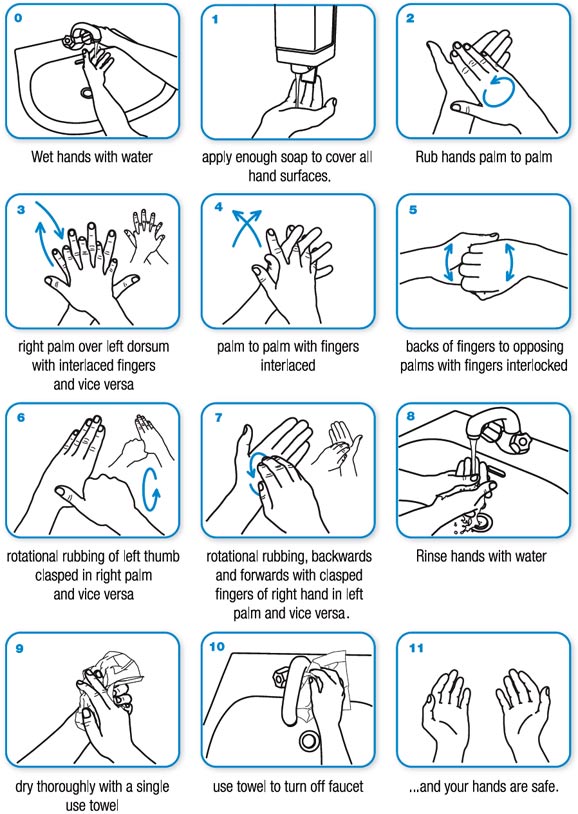 Diagram of coronavirus safety precautions