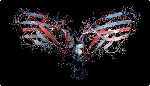 molecule of ctl4a