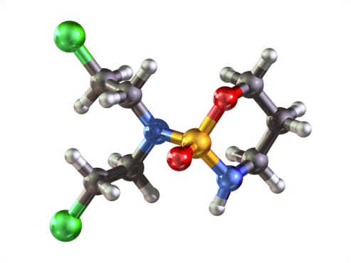 model of cyclophosphamide