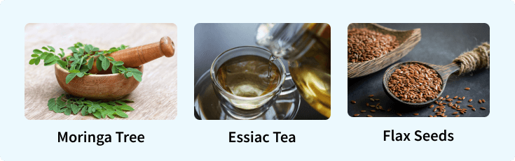 dietary supplements moringa tree, essiac tea, and flax seeds