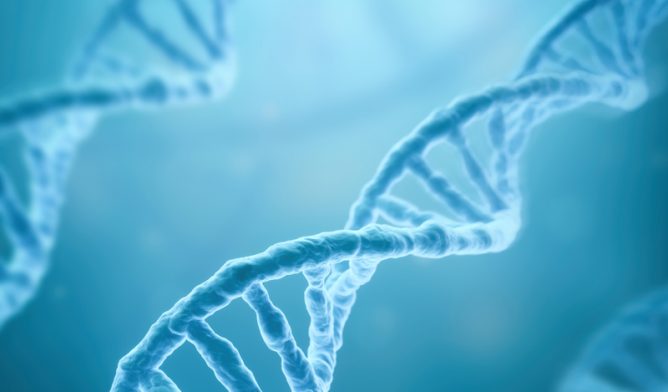 DNA stands illustration