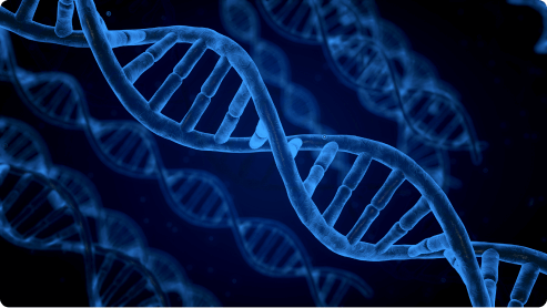 Strand of blue DNA