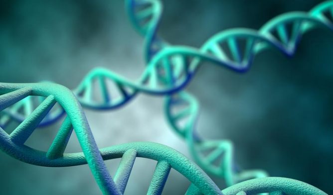 DNA strands