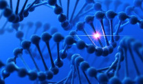 DNA strand on blue background with highlight