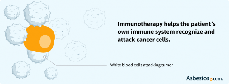 Diagram showing white blood cells attacking a tumor because of help from immunotherapy drugs.