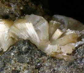 Close-up of erionite mineral
